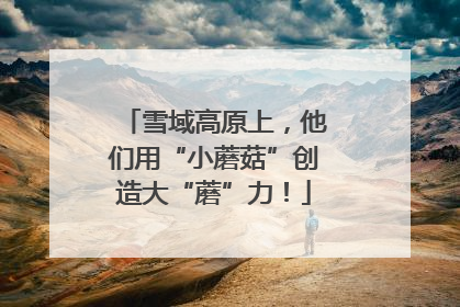 雪域高原上，他们用“小蘑菇”创造大“蘑”力！