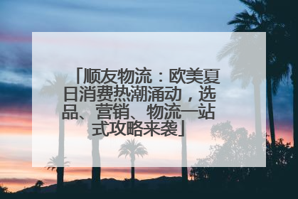 顺友物流：欧美夏日消费热潮涌动，选品、营销、物流一站式攻略来袭