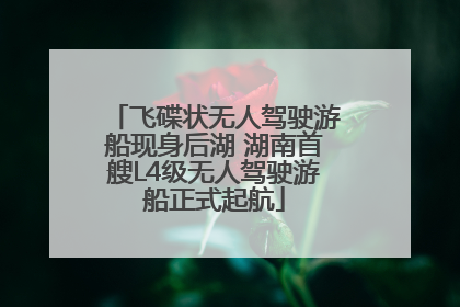 飞碟状无人驾驶游船现身后湖 湖南首艘L4级无人驾驶游船正式起航