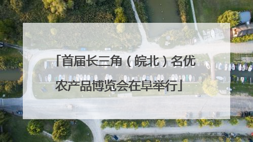 首届长三角（皖北）名优农产品博览会在阜举行