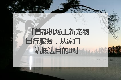 首都机场上新宠物出行服务，从家门一站抵达目的地