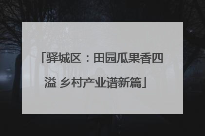驿城区：田园瓜果香四溢 乡村产业谱新篇