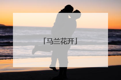 马兰花开