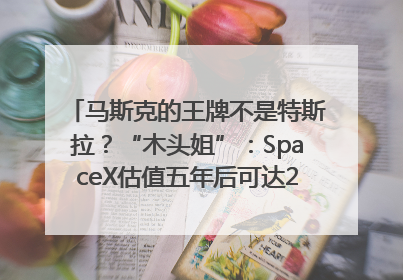 马斯克的王牌不是特斯拉？“木头姐”：SpaceX估值五年后可达2.5万亿美元！