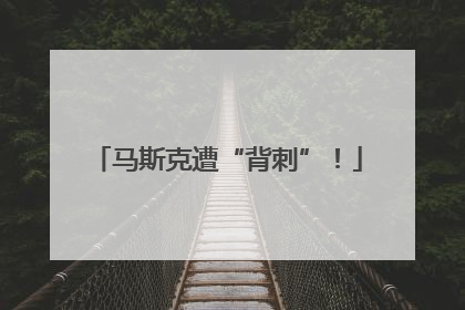 马斯克遭“背刺”！