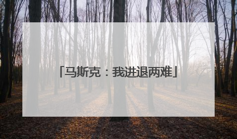 马斯克：我进退两难