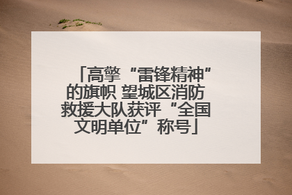 高擎“雷锋精神”的旗帜 望城区消防救援大队获评“全国文明单位”称号