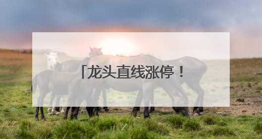 龙头直线涨停！两部门发文，涉及智能机器人