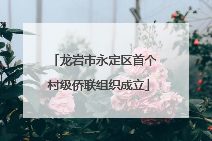 龙岩市永定区首个村级侨联组织成立