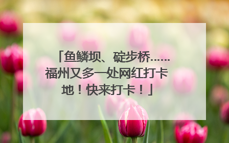 鱼鳞坝、碇步桥……福州又多一处网红打卡地！快来打卡！