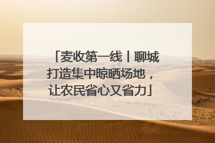 麦收第一线丨聊城打造集中晾晒场地，让农民省心又省力