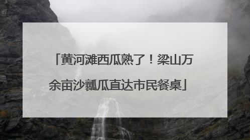 黄河滩西瓜熟了！梁山万余亩沙瓤瓜直达市民餐桌