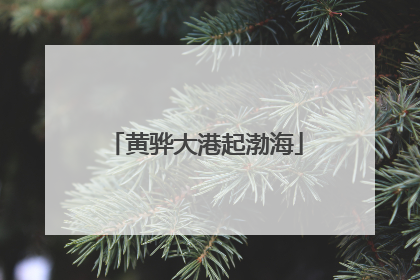 黄骅大港起渤海