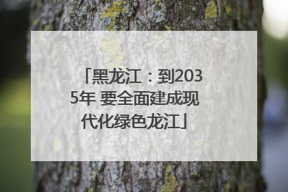 黑龙江：到2035年 要全面建成现代化绿色龙江