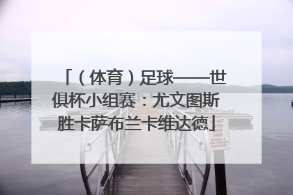（体育）足球——世俱杯小组赛：尤文图斯胜卡萨布兰卡维达德