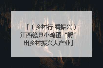 （乡村行·看振兴）江西赣县小鸡蛋“孵”出乡村振兴大产业