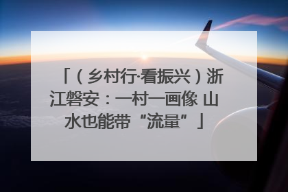 （乡村行·看振兴）浙江磐安：一村一画像 山水也能带“流量”