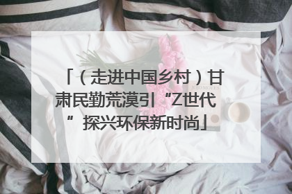 （走进中国乡村）甘肃民勤荒漠引“Z世代”探兴环保新时尚