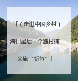 （走进中国乡村）海口最后一个渔村捕文旅“新鱼”