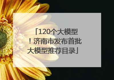 120个大模型！济南市发布首批大模型推荐目录