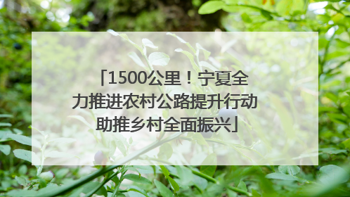 1500公里！宁夏全力推进农村公路提升行动 助推乡村全面振兴