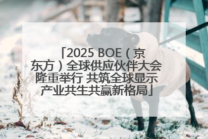 2025 BOE（京东方）全球供应伙伴大会隆重举行 共筑全球显示产业共生共赢新格局