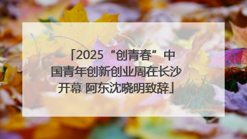 2025“创青春”中国青年创新创业周在长沙开幕 阿东沈晓明致辞