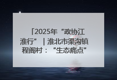 2025年“政协江淮行”｜淮北市渠沟镇程阁村：“生态痛点”变“生态景观”
