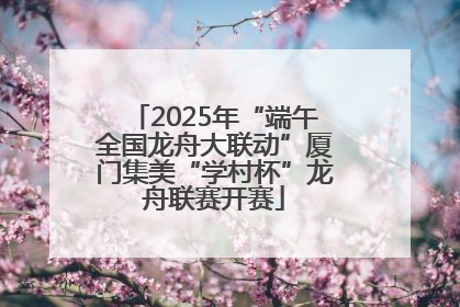 2025年“端午全国龙舟大联动”厦门集美“学村杯”龙舟联赛开赛
