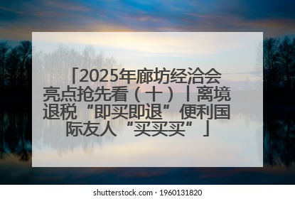 2025年廊坊经洽会亮点抢先看（十）丨离境退税“即买即退”便利国际友人“买买买”