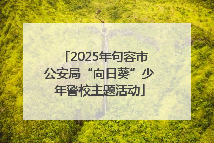 2025年句容市公安局“向日葵”少年警校主题活动