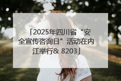 2025年四川省“安全宣传咨询日”活动在内江举行& 8203