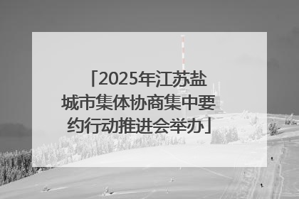 2025年江苏盐城市集体协商集中要约行动推进会举办