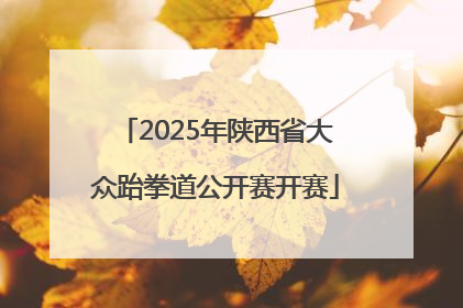 2025年陕西省大众跆拳道公开赛开赛