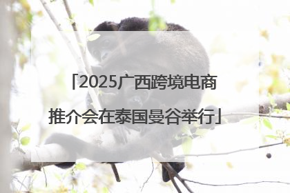 2025广西跨境电商推介会在泰国曼谷举行