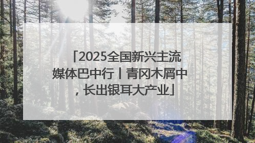 2025全国新兴主流媒体巴中行丨青冈木屑中，长出银耳大产业
