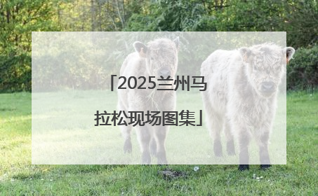 2025兰州马拉松现场图集
