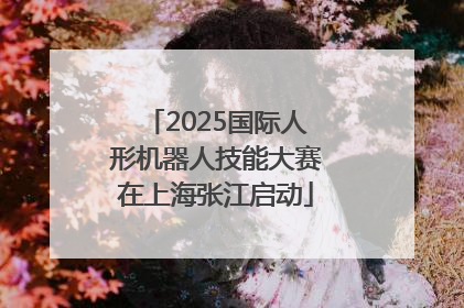2025国际人形机器人技能大赛在上海张江启动