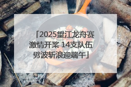 2025望江龙舟赛激情开桨 14支队伍劈波斩浪迎端午