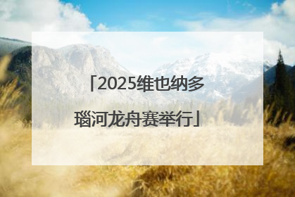2025维也纳多瑙河龙舟赛举行