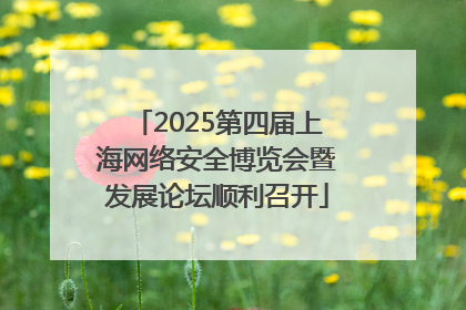 2025第四届上海网络安全博览会暨发展论坛顺利召开