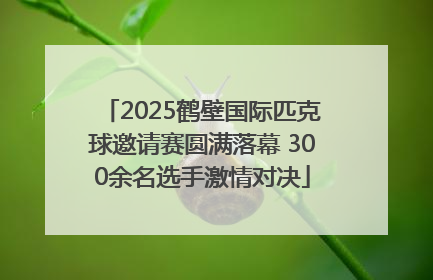 2025鹤壁国际匹克球邀请赛圆满落幕 300余名选手激情对决