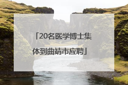 20名医学博士集体到曲靖市应聘