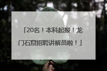 20名！本科起报！龙门石窟招聘讲解员啦！