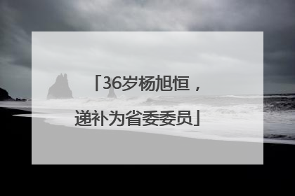 36岁杨旭恒，递补为省委委员