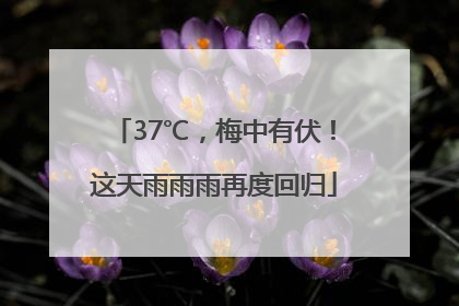 37℃，梅中有伏！这天雨雨雨再度回归