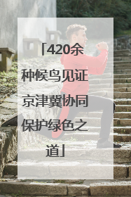 420余种候鸟见证京津冀协同保护绿色之道