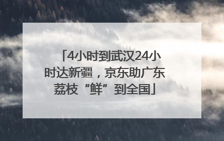 4小时到武汉24小时达新疆，京东助广东荔枝“鲜”到全国