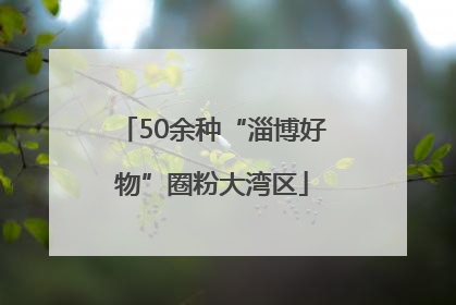 50余种“淄博好物”圈粉大湾区