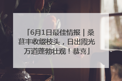 6月1日最佳情报｜桑葚丰收缀枝头，日出霞光万道蓬勃壮观！恭喜